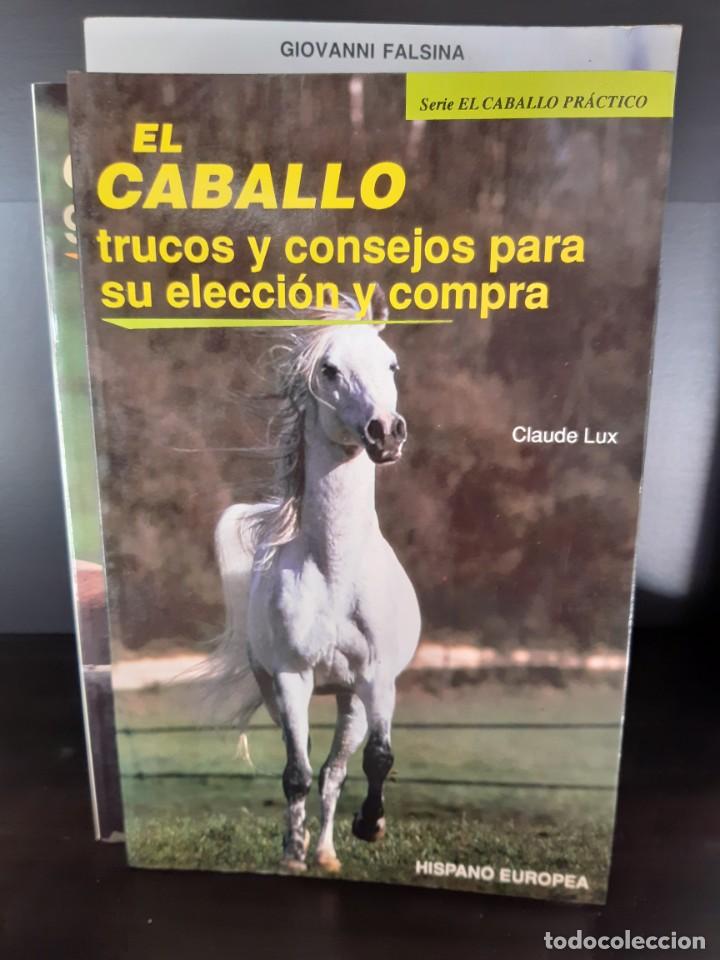 Libros: EL CABALLO ELECCION Y COMPRA - Foto 1