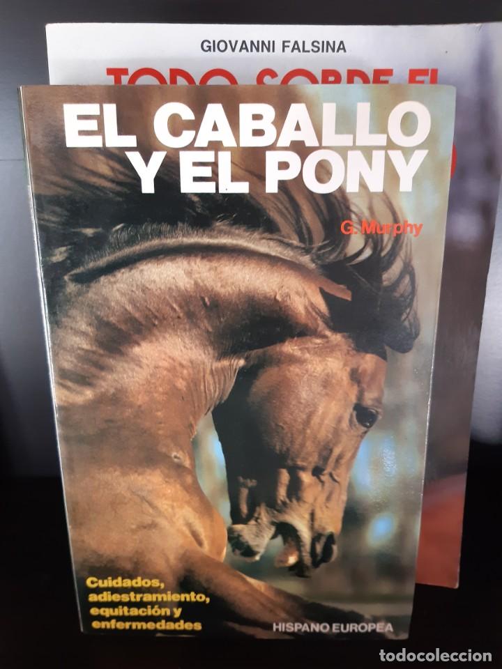 Libros: EL CABALLO Y EL PONY - Foto 1