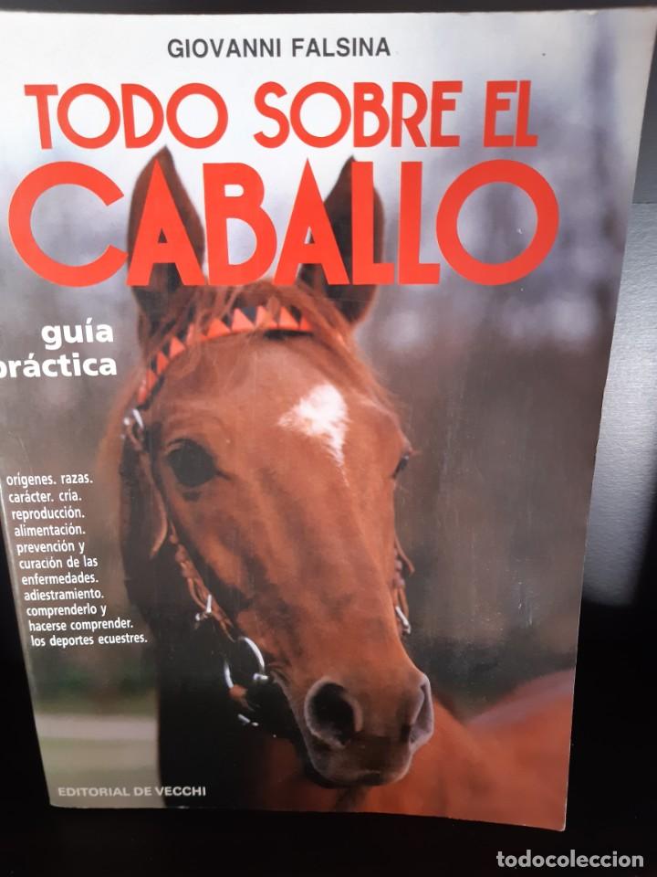 Libros: TODO SOBRE EL CABALLO - Foto 1
