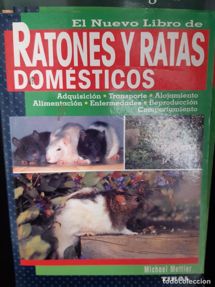 Libros: RATONES Y RATAS DOMESTICOS - Foto 1