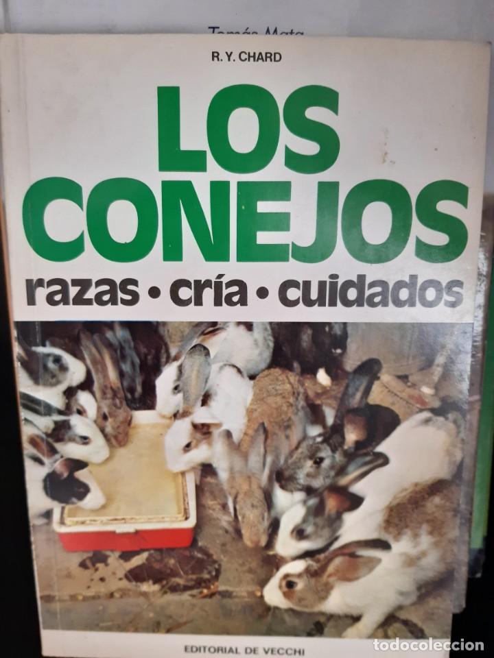 Libros: LOS CONEJOS - Foto 1