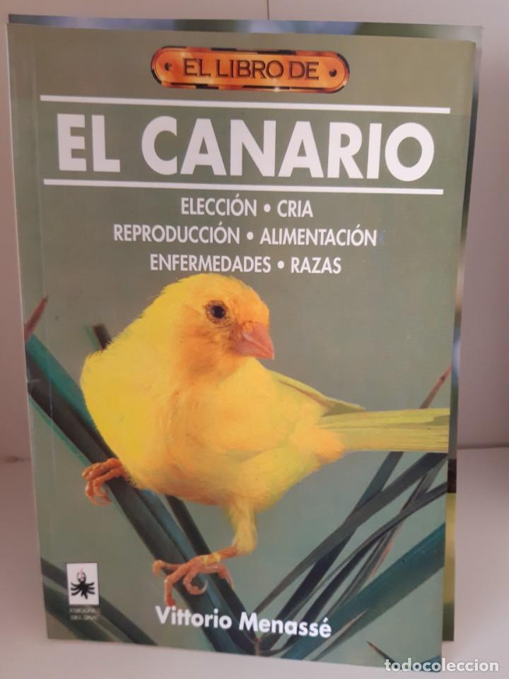 Libros: EL CANARIO - Foto 1
