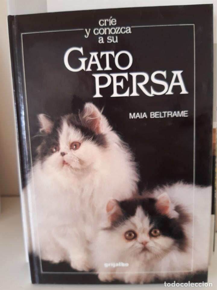 Libros: GATO PERSA - Foto 1