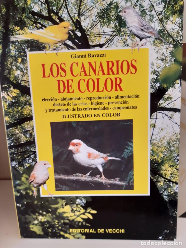 Libros: LOS CANARIOS DE COLOR - Foto 1