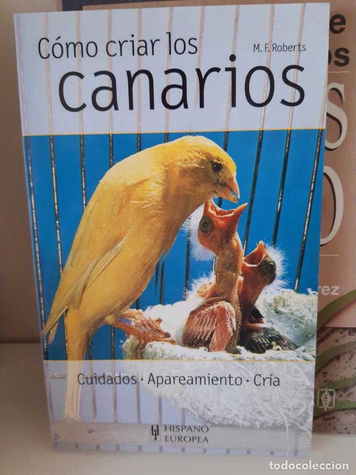 Libros: COMO CRIAR LOS CANARIOS - Foto 1