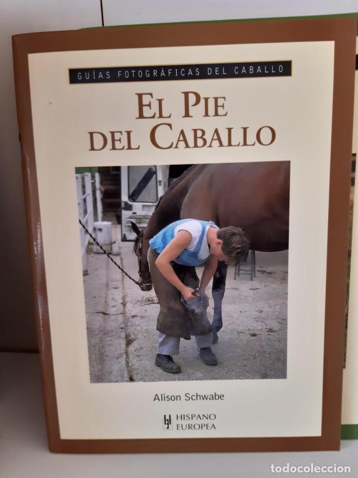Libros: EL PIE DEL CABALLO - Foto 1