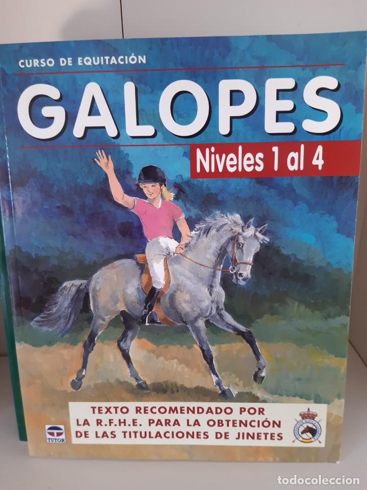 Libros: GALOPES NIVELES 1 AL 4 - Foto 1