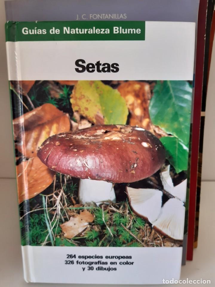 Libros: SETAS - Foto 1