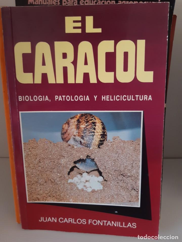Libros: EL CARACOL - Foto 1