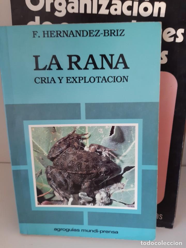 Libros: LA RANA CRIA Y EXPLOTACION - Foto 1