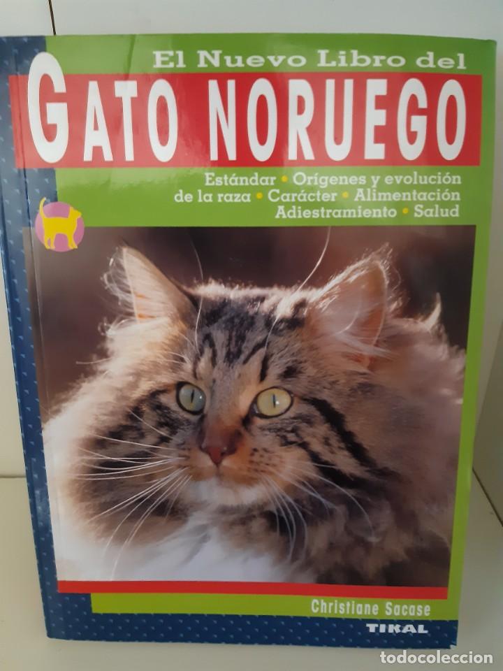 Libros: GATO NORUEGO - Foto 1
