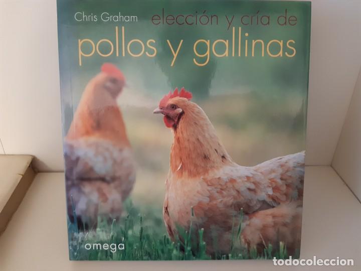 Libros: POLLOS Y GALLINAS - Foto 1