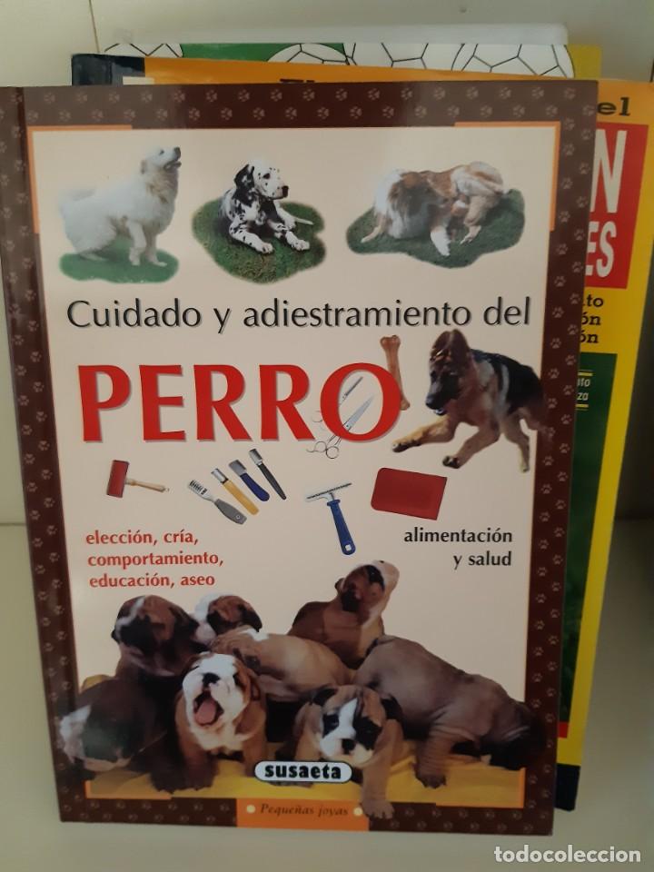 Libros: CUIDADO Y ADIESTRAMIENTO DEL PERRO - Foto 1