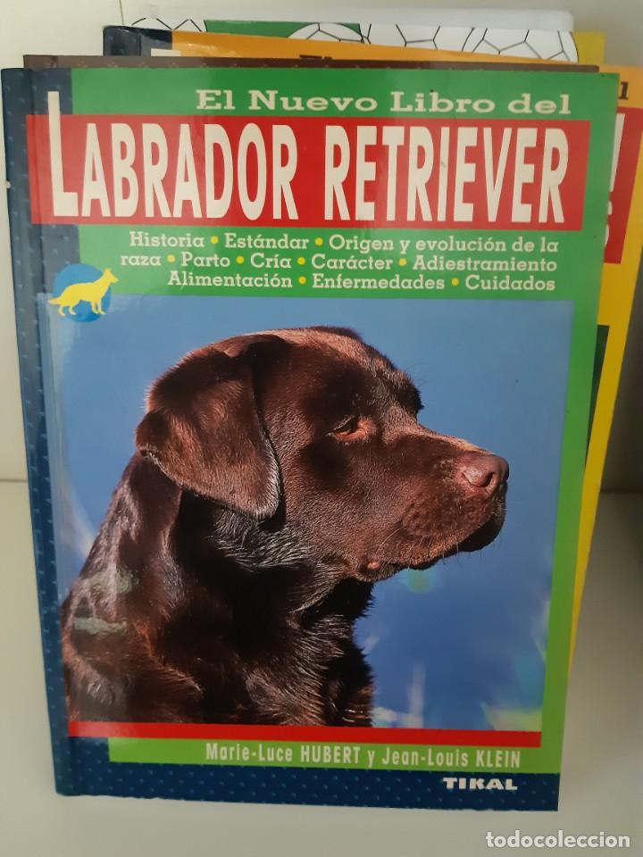 Libros: LABRADOR RETRIEVER MARIE LUCE HUBERT - Foto 1