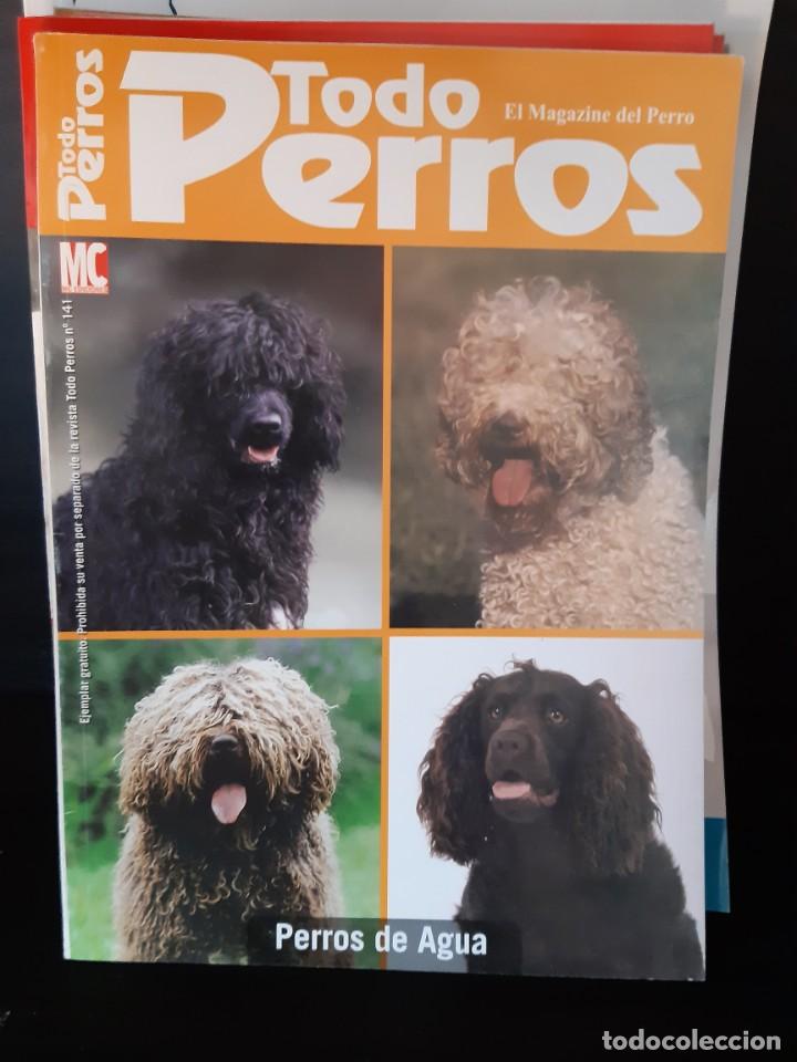 Libros: PERROS DE AGUA - Foto 1
