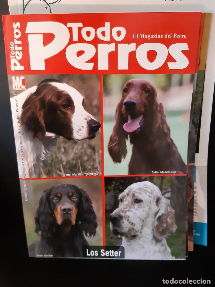 Libros: LOS SETTER - Foto 1