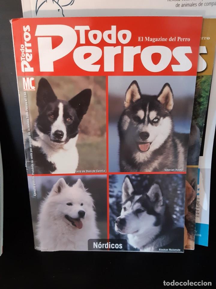 Libros: NORDICOS - Foto 1