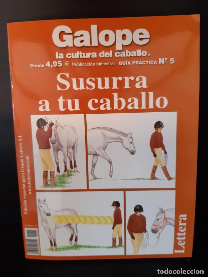 Libros: GALOPE SUSURRA A TU CABALLO - Foto 1