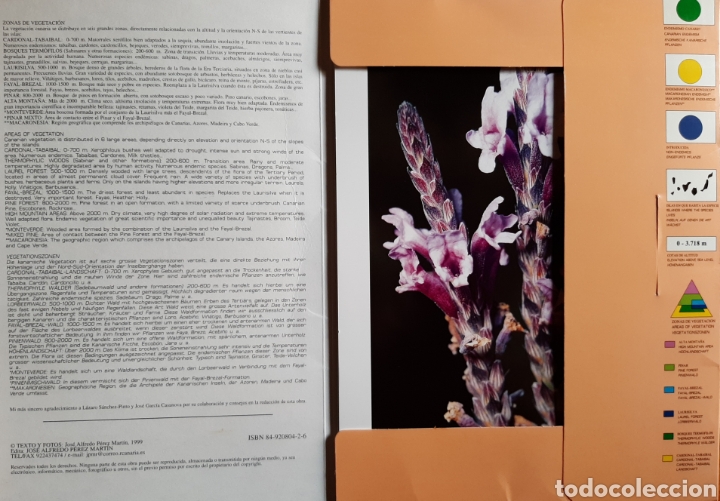Libros: Láminas de Flora canaria - Foto 3 - 267746524