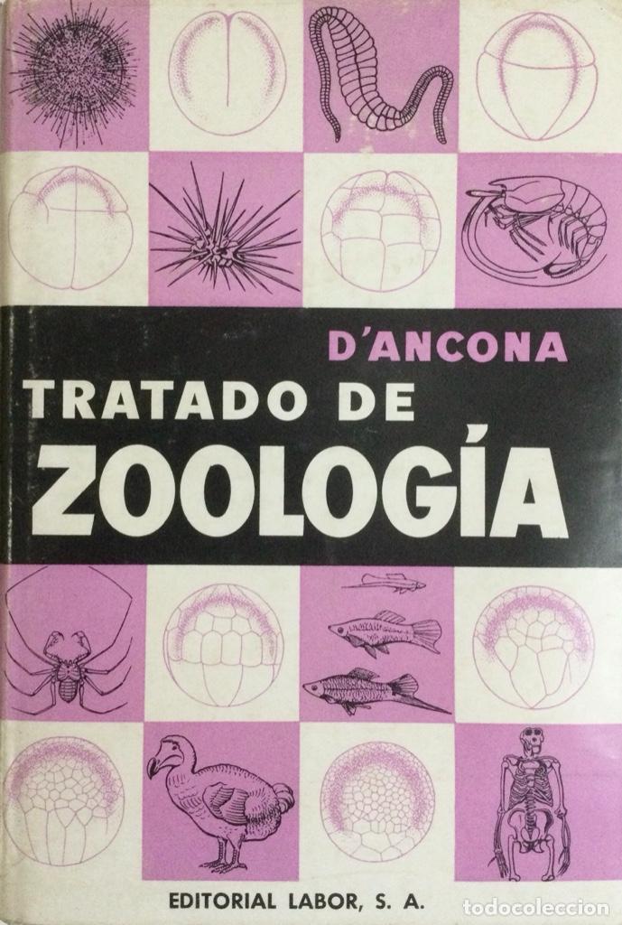 Libros: Tratado de Zoolog&iacute;a. D&acute;Ancona. NUEVO - Foto 1