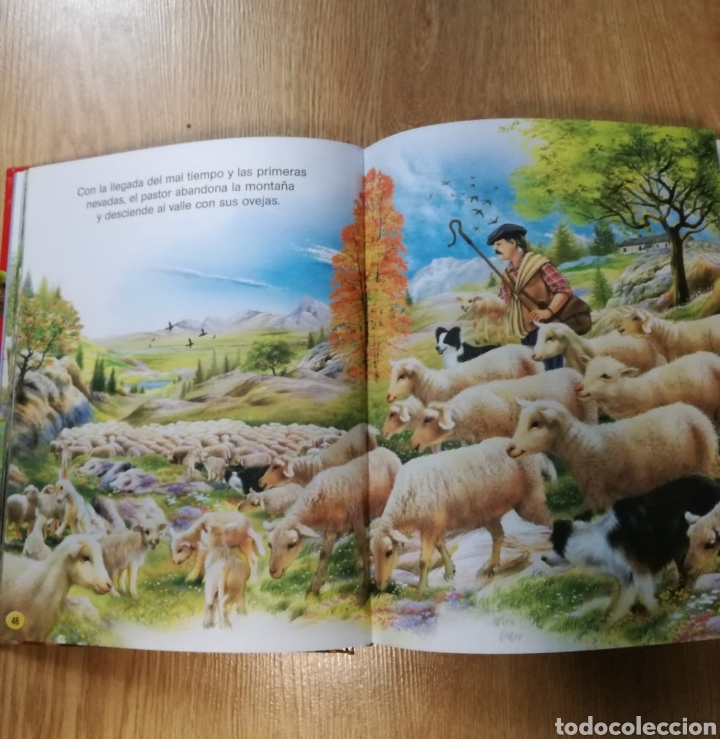 Libros: LIBRO DORADO . ANIMALES DEL MUNDO - Foto 5