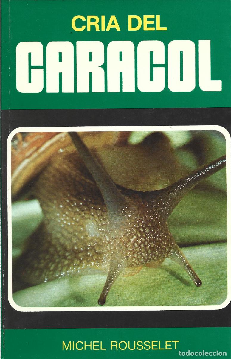 Libros: CRIA DEL CARACOL.-MICHEL ROUSSELET - Foto 1