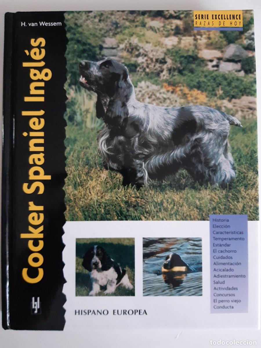 Libros: Cocker spaniel ingles h van wessem - Foto 1