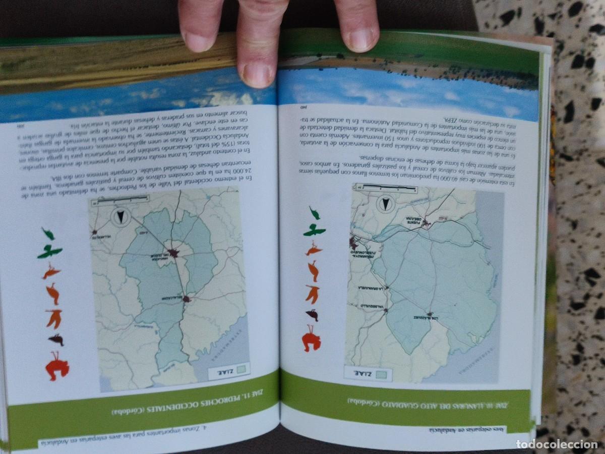 Libros: AVES ESTEPARIAS DE ANDALUCIA - Foto 3