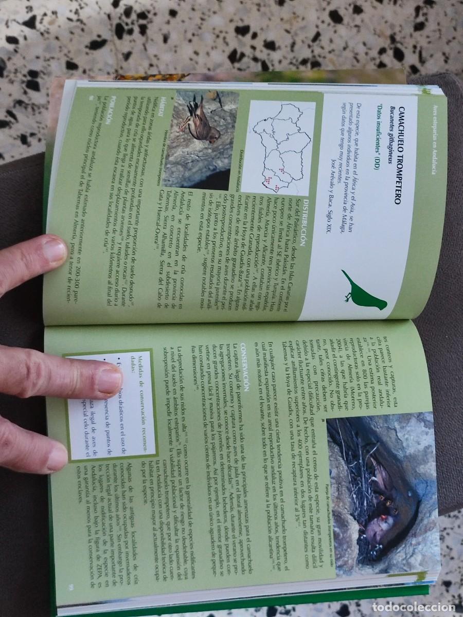 Libros: AVES ESTEPARIAS DE ANDALUCIA - Foto 4