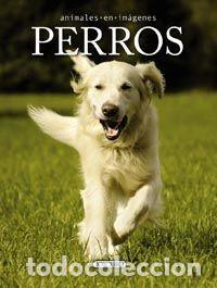 Libros: PERROS - Foto 1