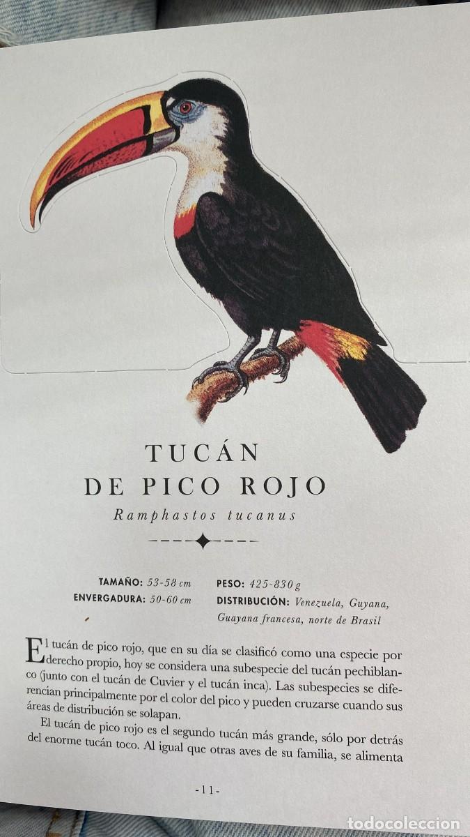 Libros: EL LIBRO-DIORAMA DE LAS AVES - Foto 2