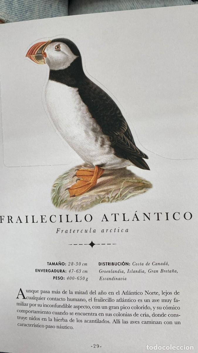 Libros: EL LIBRO-DIORAMA DE LAS AVES - Foto 3