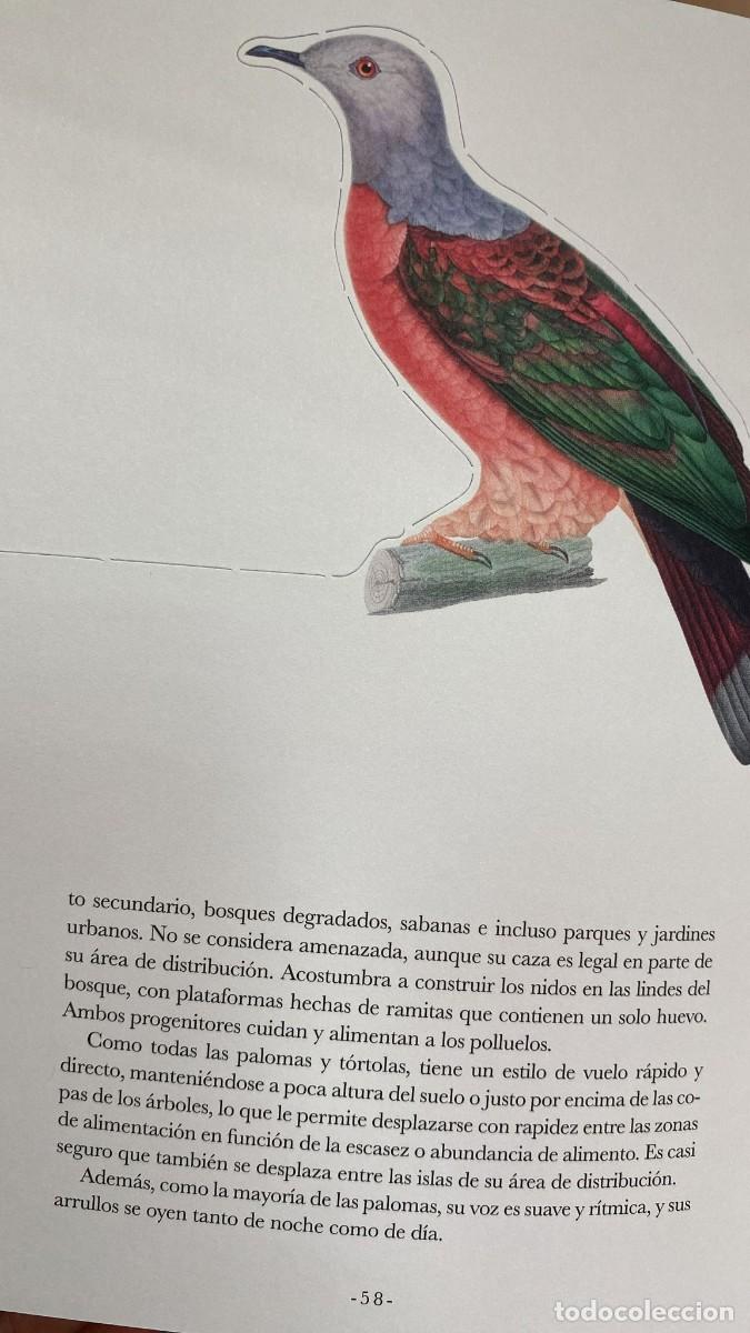 Libros: EL LIBRO-DIORAMA DE LAS AVES - Foto 4