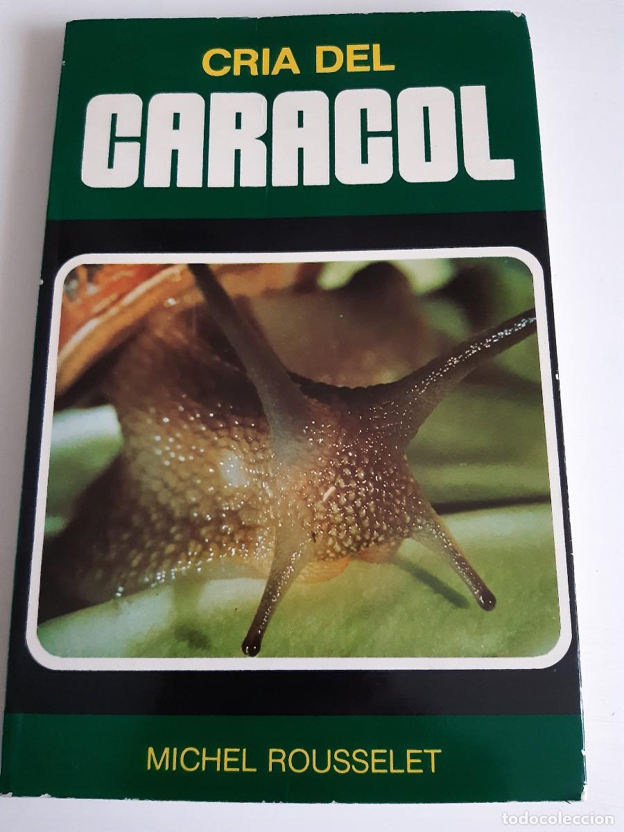 Libros: Cr&iacute;a del caracol Michel Rousselet - Foto 1