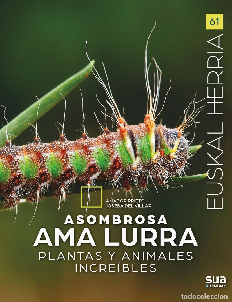 Libros: ASOMBROSA AMA LURRA - Foto 1