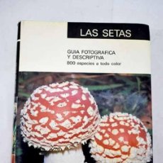 Libros: SETAS - GUIA FOTOGRAFICA Y DESCRIPTIVA