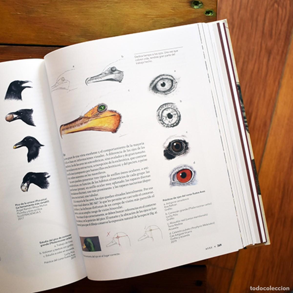 Libros: Manual de ilustraci&oacute;n cient&iacute;fica - Foto 2