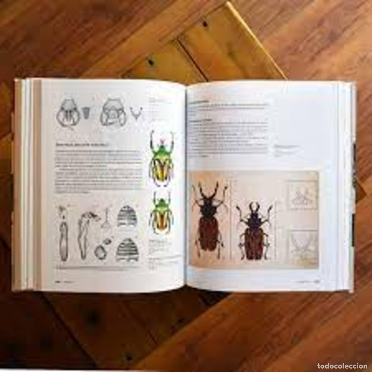 Libros: Manual de ilustraci&oacute;n cient&iacute;fica - Foto 4