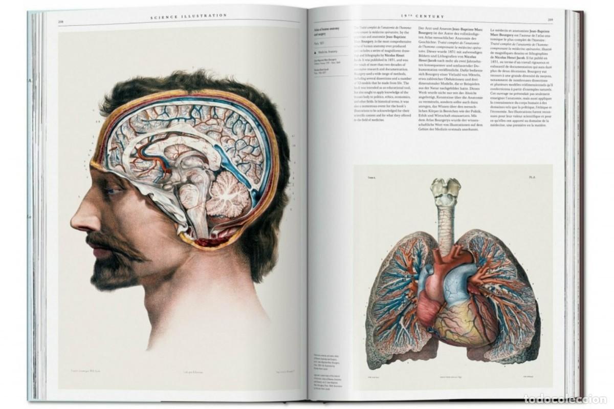 Libros: Manual de ilustraci&oacute;n cient&iacute;fica - Foto 5