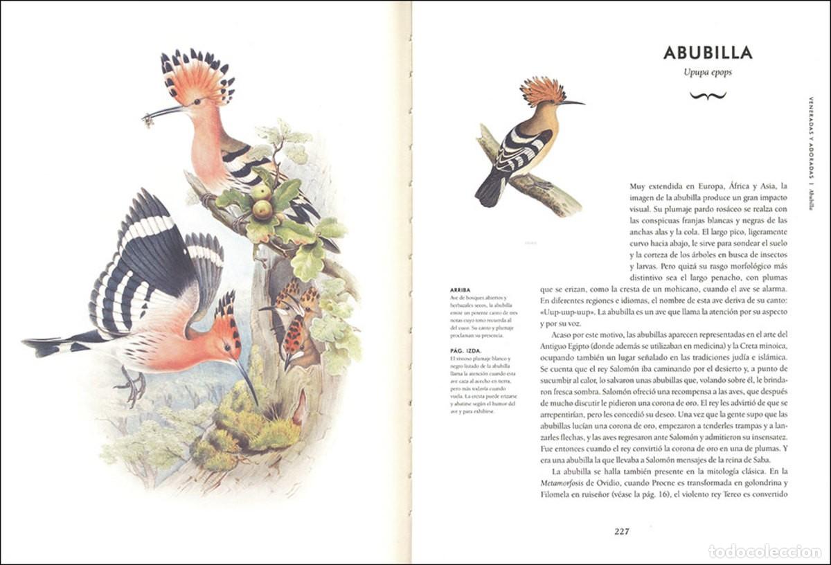 Libros: Aves extraordinarias - Foto 3