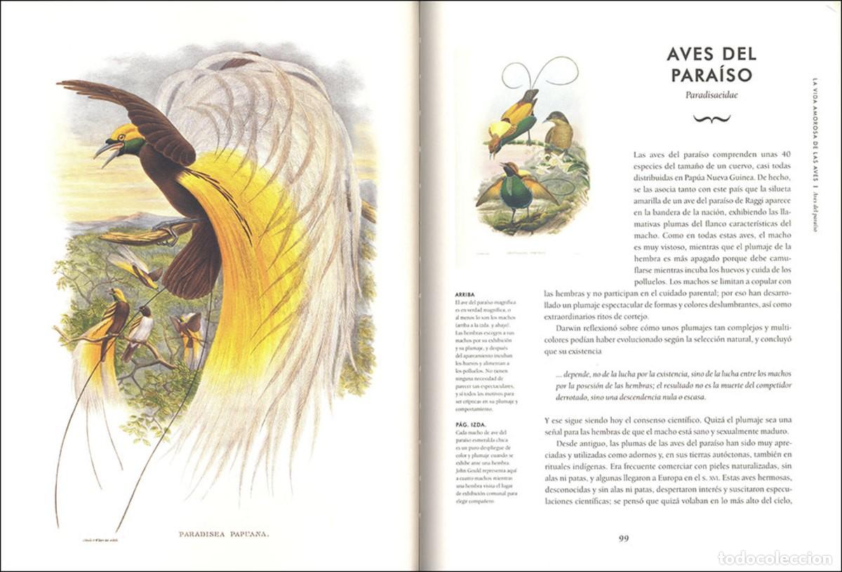 Libros: Aves extraordinarias - Foto 4