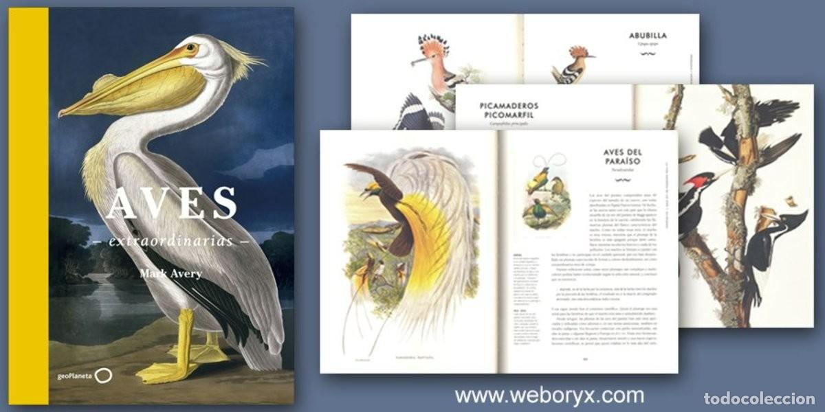 Libros: Aves extraordinarias - Foto 5