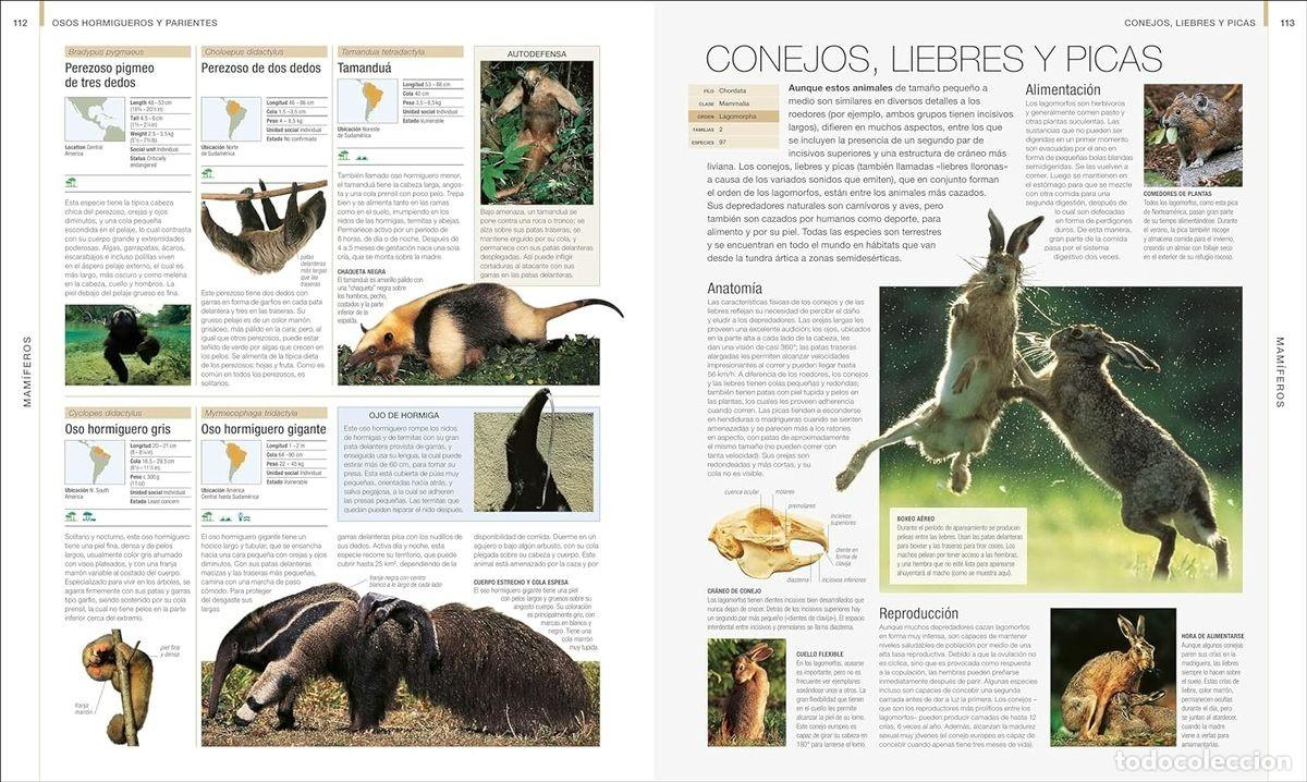 Libros: ANIMALES - Foto 3