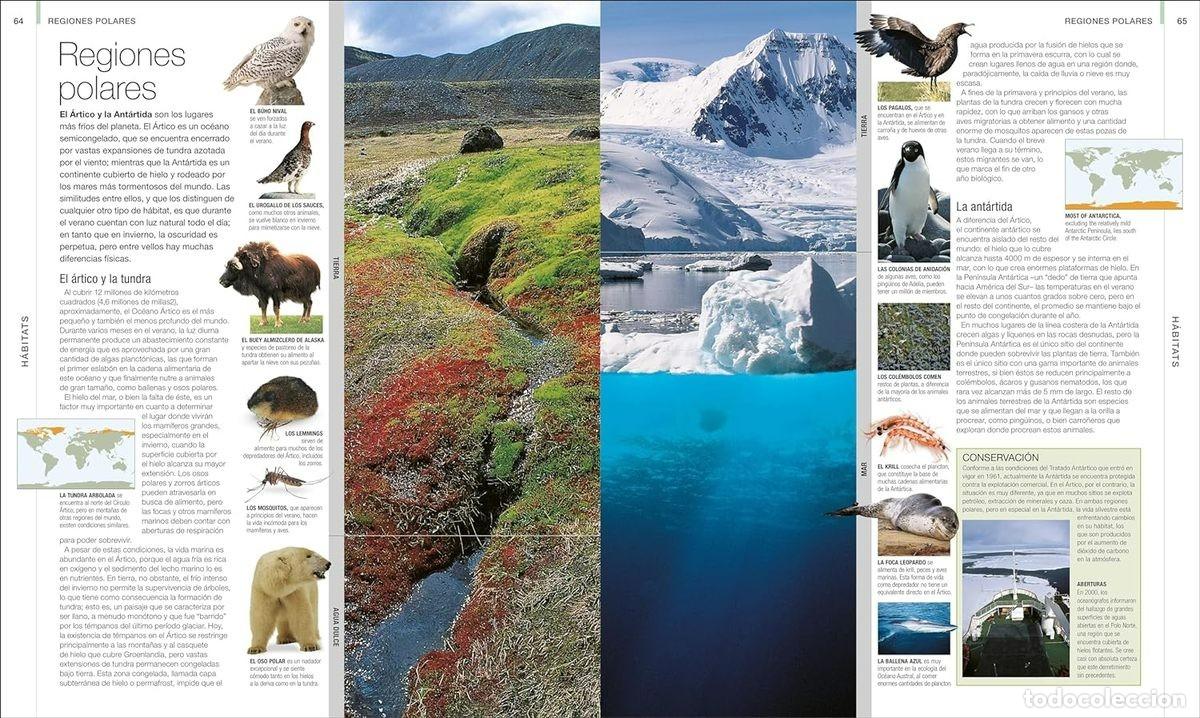 Libros: ANIMALES - Foto 4