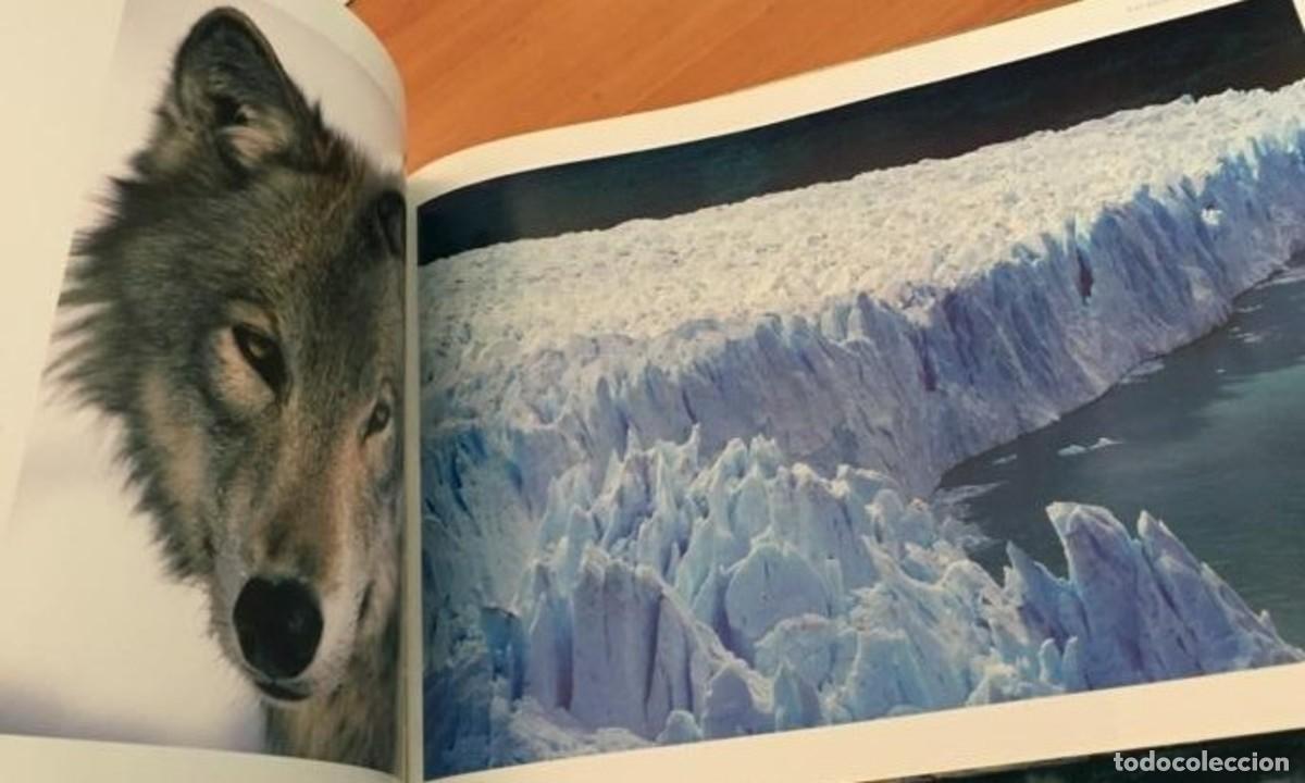 Libros: EL MUNDO HELADO - Foto 4