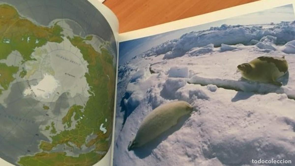 Libros: EL MUNDO HELADO - Foto 5