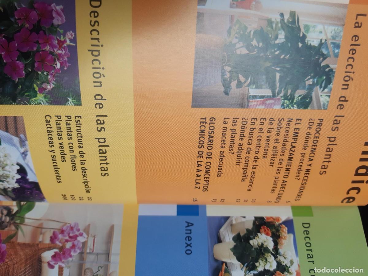 Libros: Plantas de interior de la A a la Z Karin Greiner - Foto 4