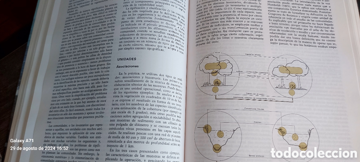 Libros: ECOLOG&Iacute;A RAM&Oacute;N MARGALEF - Foto 5