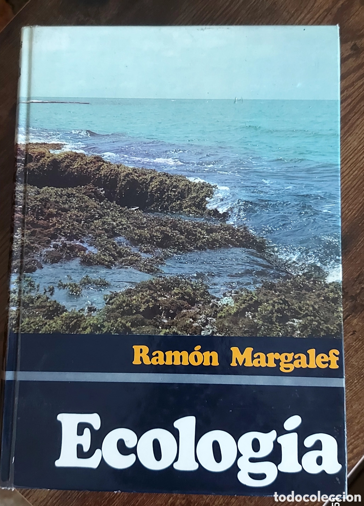 Libros: ECOLOG&Iacute;A RAM&Oacute;N MARGALEF - Foto 1