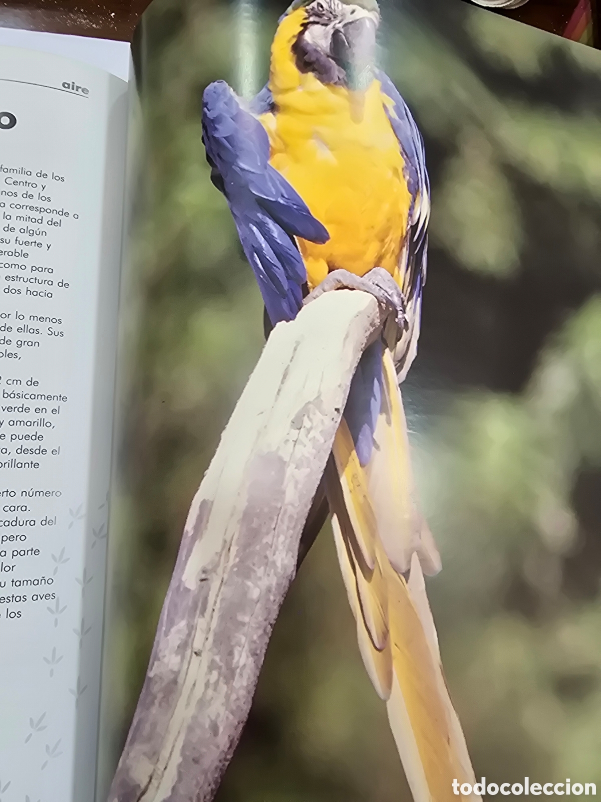 Libros: EL LIBRO DE LOS ANIMALES , NAUTA - Foto 3